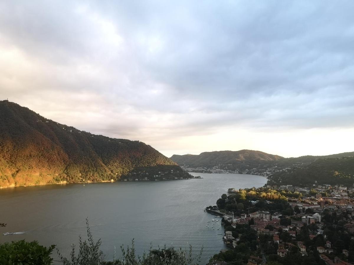 Como Lake Panorama Apartment Sveva Cernobbio Dış mekan fotoğraf